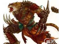 上海火狐网络科技有限公司