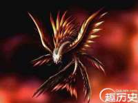 上海火狐网络科技有限公司