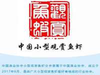 上海火狐网络科技有限公司