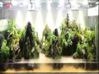 上海火狐网络科技有限公司
