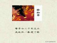上海火狐网络科技有限公司