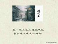 上海火狐网络科技有限公司