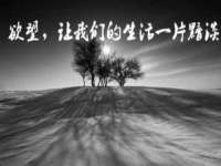 上海火狐网络科技有限公司