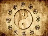 上海火狐网络科技有限公司