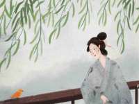 上海火狐网络科技有限公司