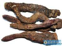 上海火狐网络科技有限公司