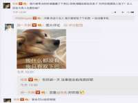 上海火狐网络科技有限公司