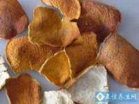 上海火狐网络科技有限公司