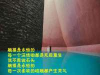 上海火狐网络科技有限公司