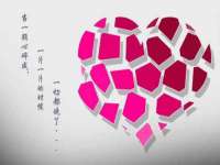 上海火狐网络科技有限公司