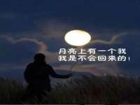 上海火狐网络科技有限公司