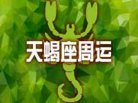 上海火狐网络科技有限公司