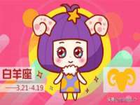 上海火狐网络科技有限公司