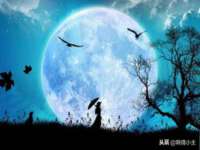 上海火狐网络科技有限公司