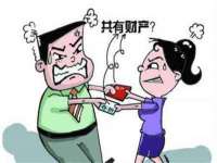 上海火狐网络科技有限公司