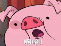 上海火狐网络科技有限公司