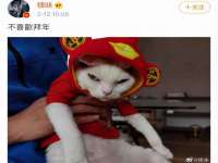 上海火狐网络科技有限公司