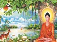 上海火狐网络科技有限公司