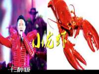 上海火狐网络科技有限公司
