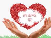 上海火狐网络科技有限公司