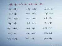 上海火狐网络科技有限公司