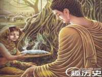 上海火狐网络科技有限公司