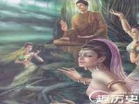 上海火狐网络科技有限公司